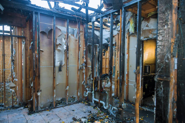 Professional Fire Damage Removal technician working in Loughman, FL